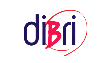 Digital Bridges in Youth Work: Study Visit